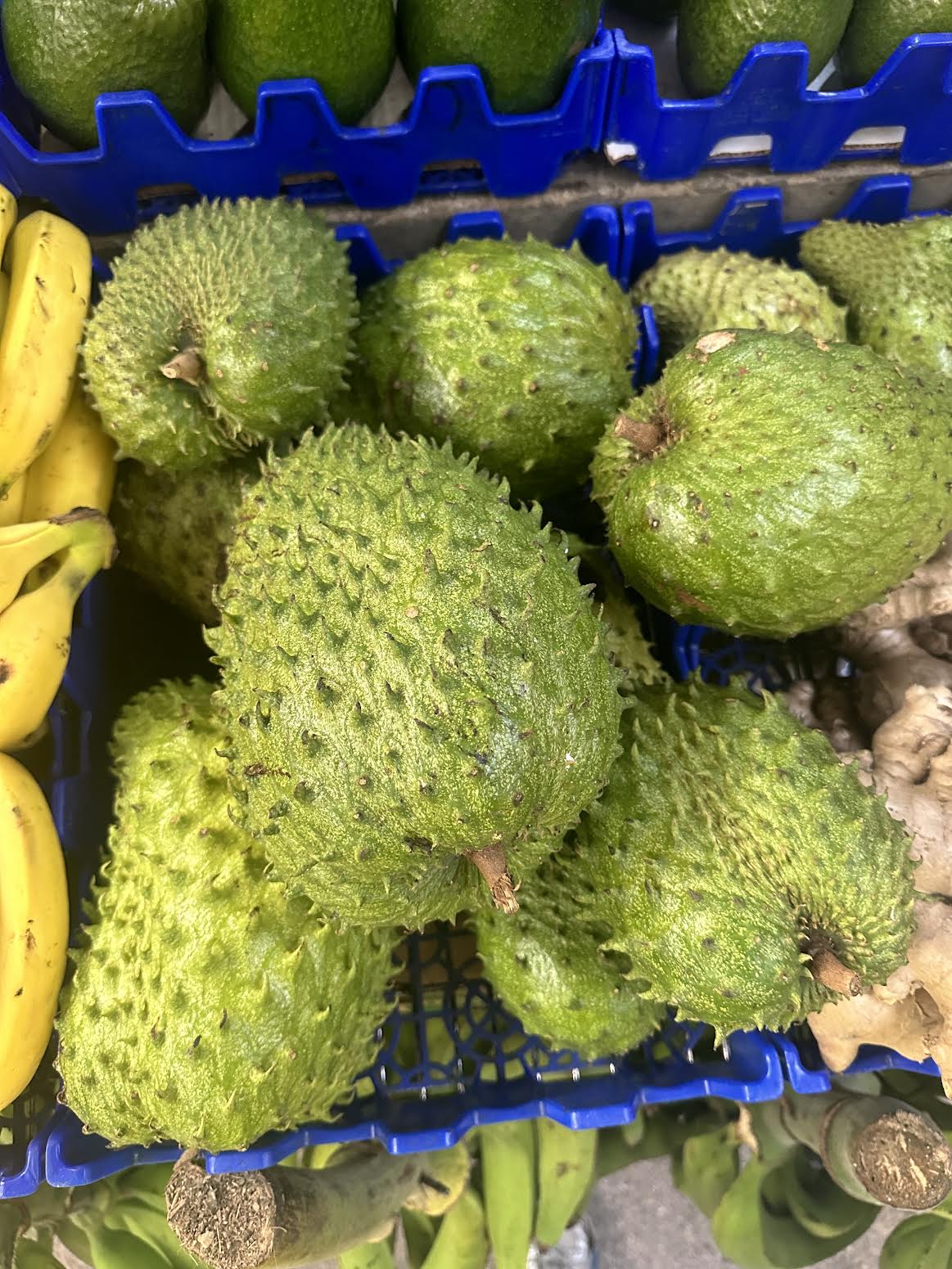 2 Lbs Organic Soursop Fruit Fresh Guanabana Fruits