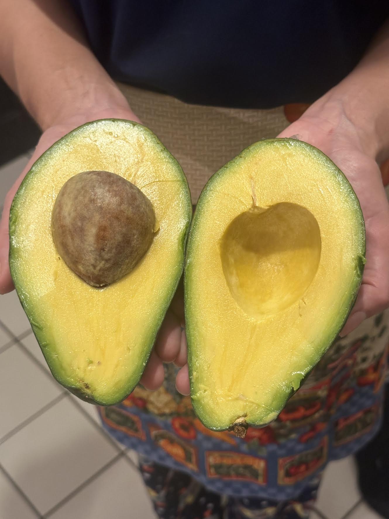 6 Lbs Organic Avocado Fruit Fresh Large Avocados