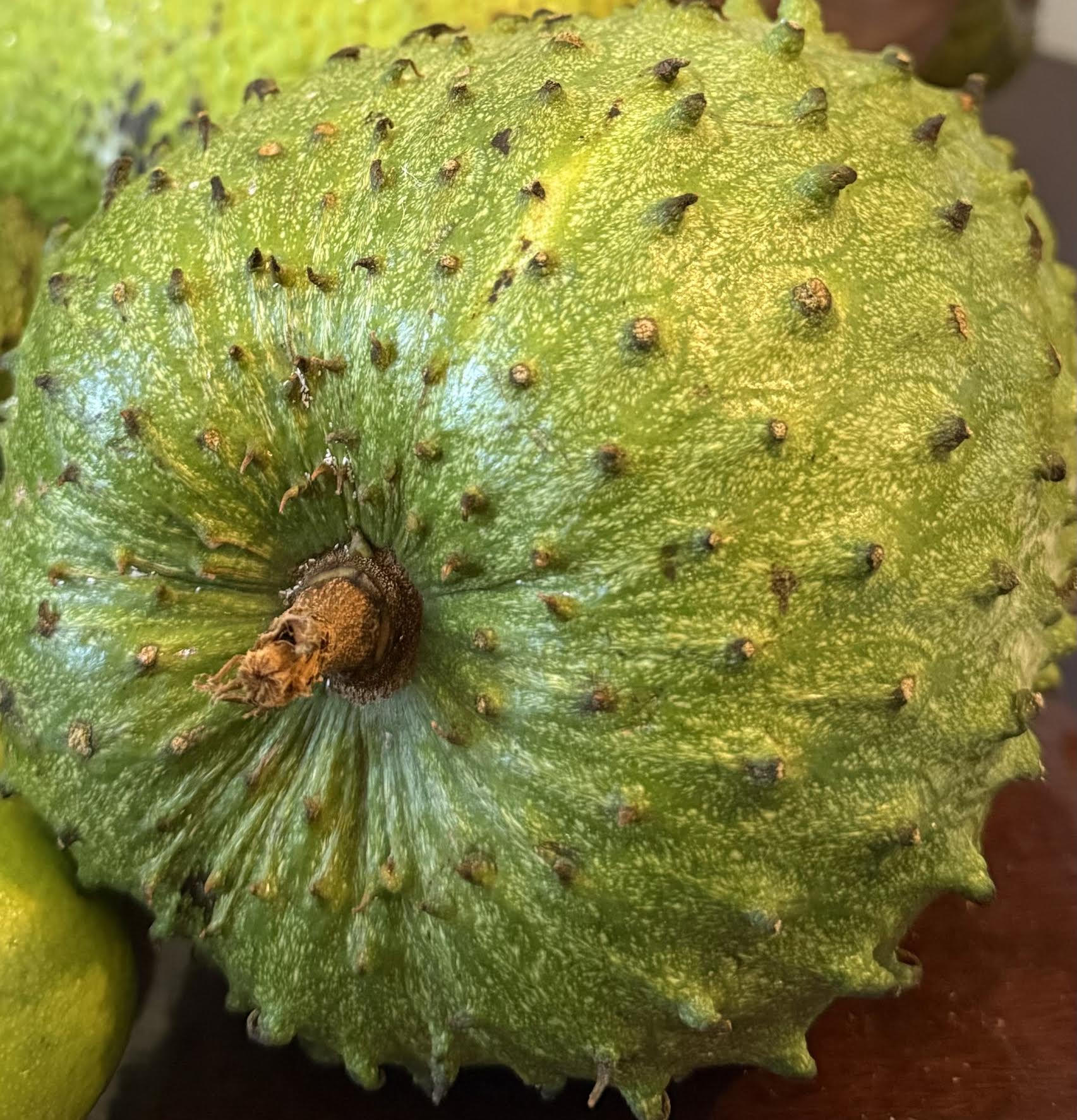 5 Lbs Organic Soursop Fruit Fresh 1 to 5 Guanabana Fruits