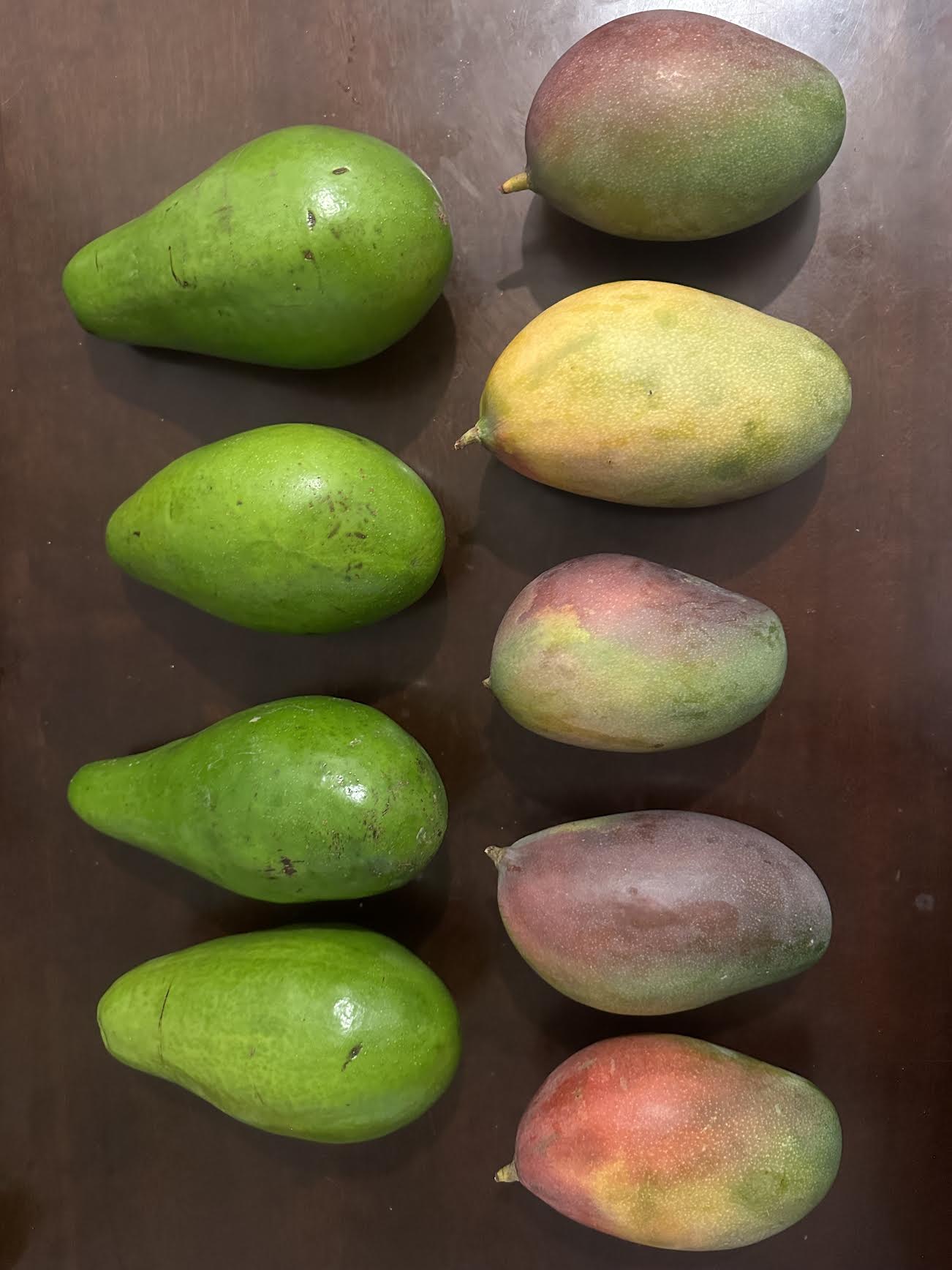 6 Lbs Organic Avocado Fruit Fresh Large Avocados