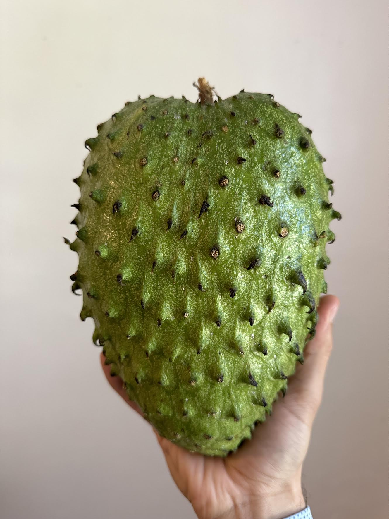 5 Lbs Organic Soursop Fruit Fresh 1 to 5 Guanabana Fruits