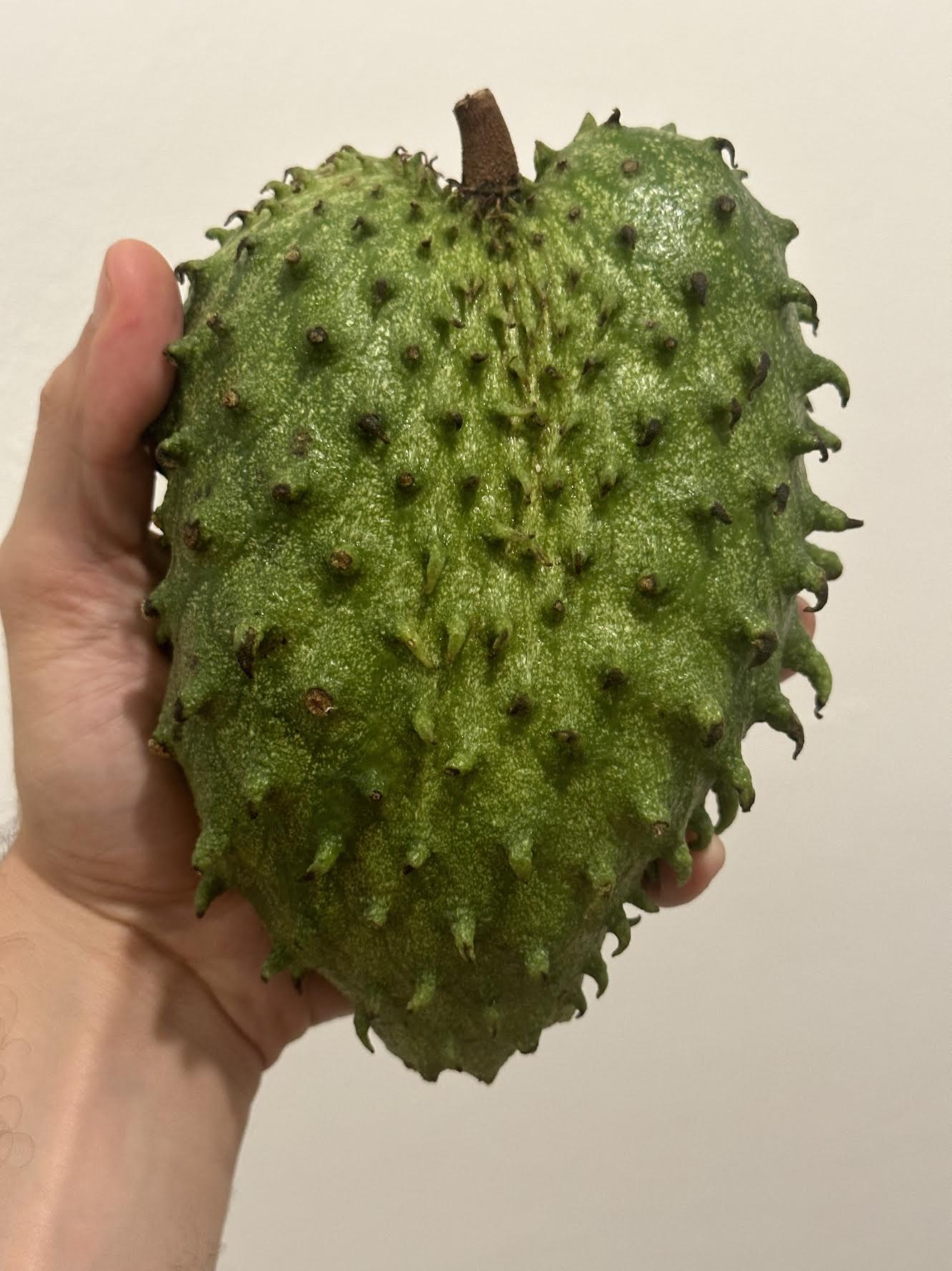 1 Lb Organic Soursop Fruit Fresh Guanabana Fruits