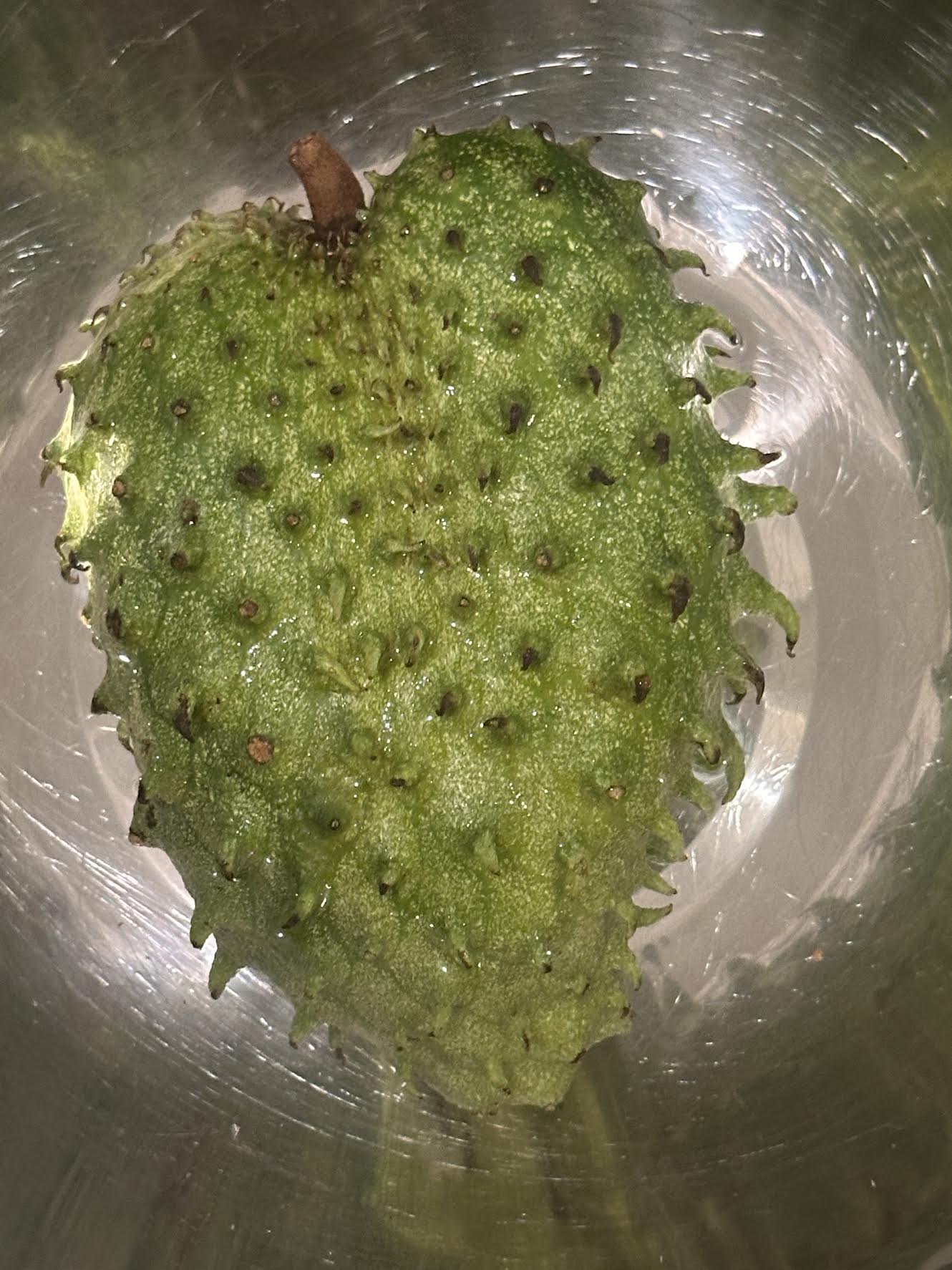 1 Lb Organic Soursop Fruit Fresh Guanabana Fruits