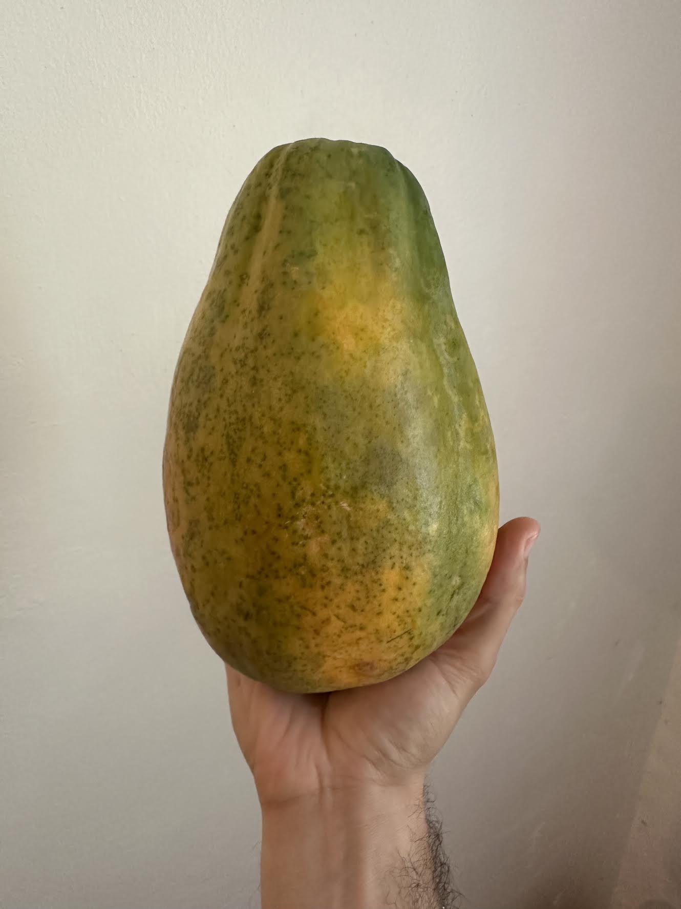 2 Lbs Organic Papaya Fruit Fresh 1 to 2 Papaya Fruits