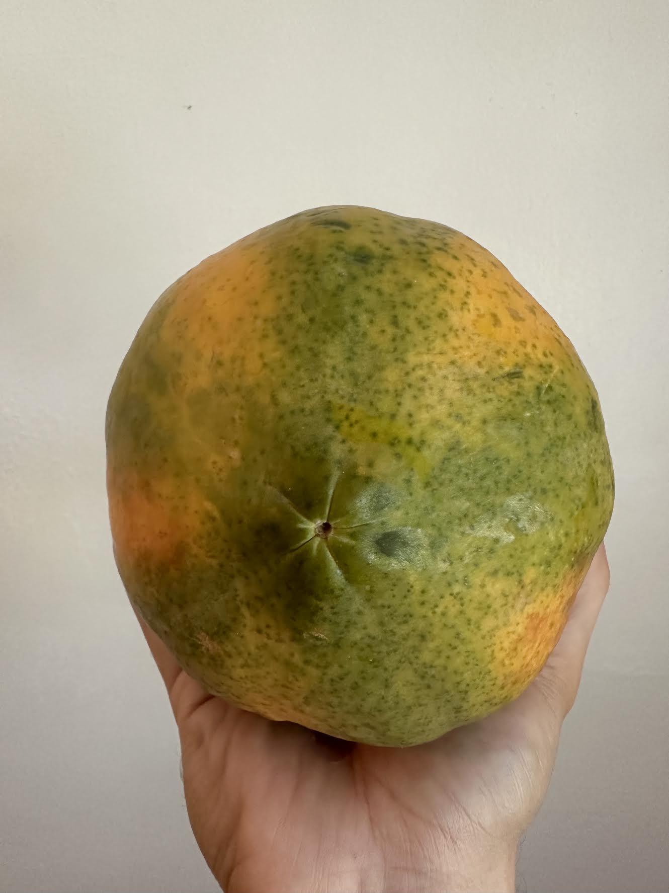 2 Lbs Organic Papaya Fruit Fresh 1 to 2 Papaya Fruits