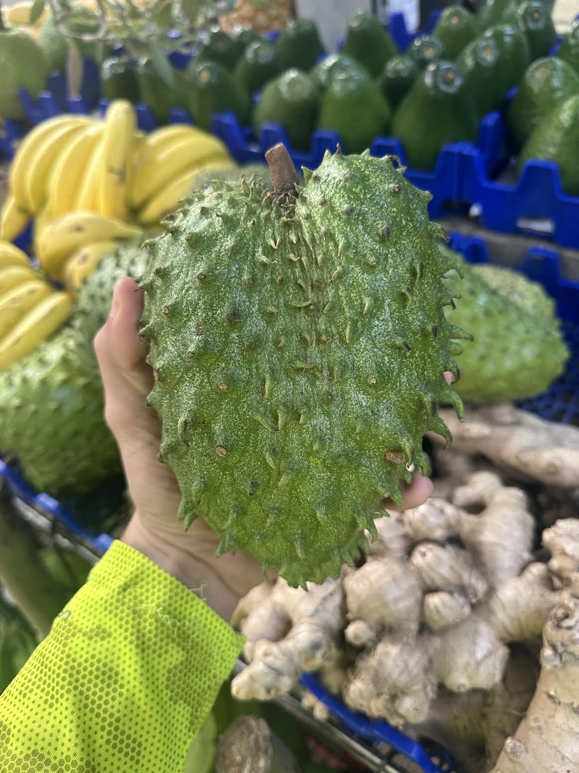 2 Lbs Organic Soursop Fruit Fresh Guanabana Fruits