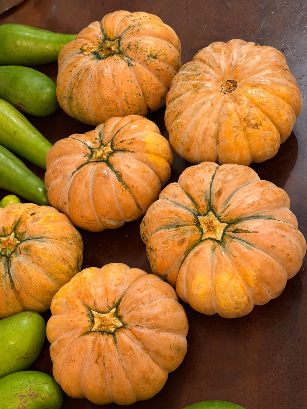 8 Lbs Organic Fairytale Pumpkin Musquée de Provence French Heirloom Squash