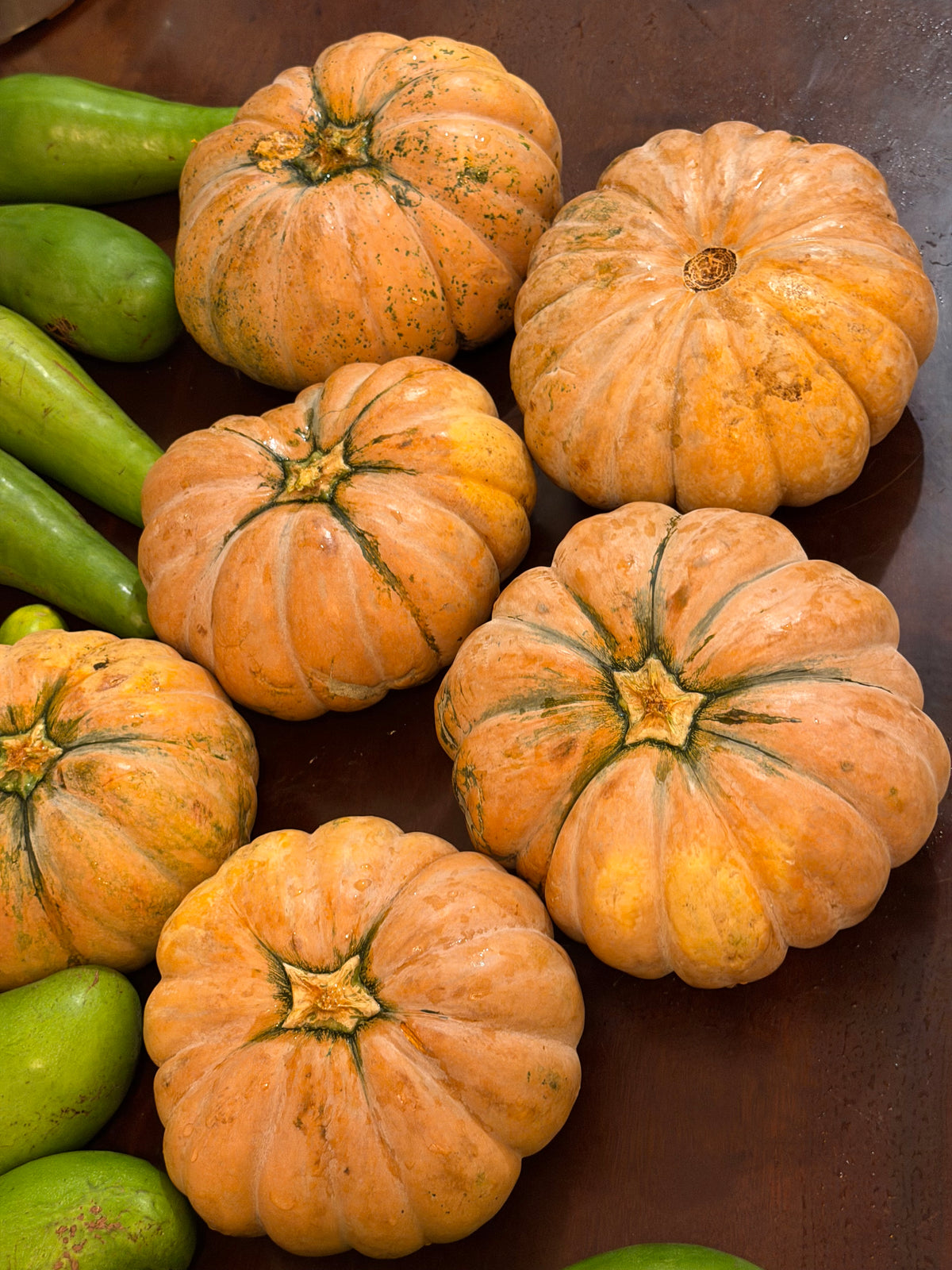8 Lbs Organic Fairytale Pumpkin Musquée de Provence French Heirloom Squash