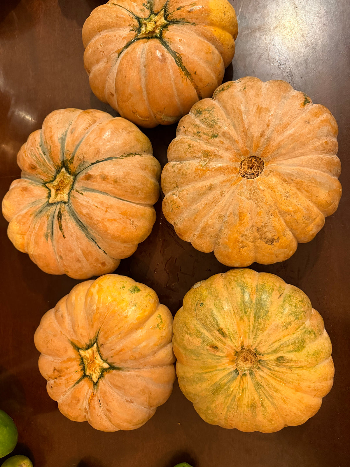 8 Lbs Organic Fairytale Pumpkin Musquée de Provence French Heirloom Squash