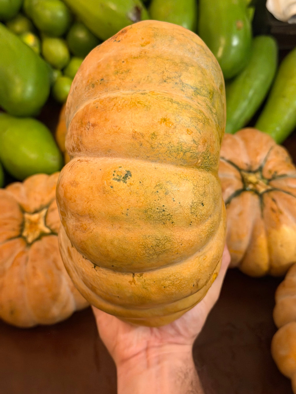 8 Lbs Organic Fairytale Pumpkin Musquée de Provence French Heirloom Squash