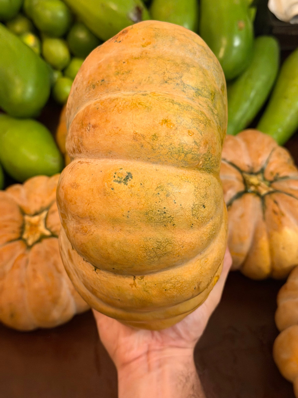 8 Lbs Organic Fairytale Pumpkin Musquée de Provence French Heirloom Squash