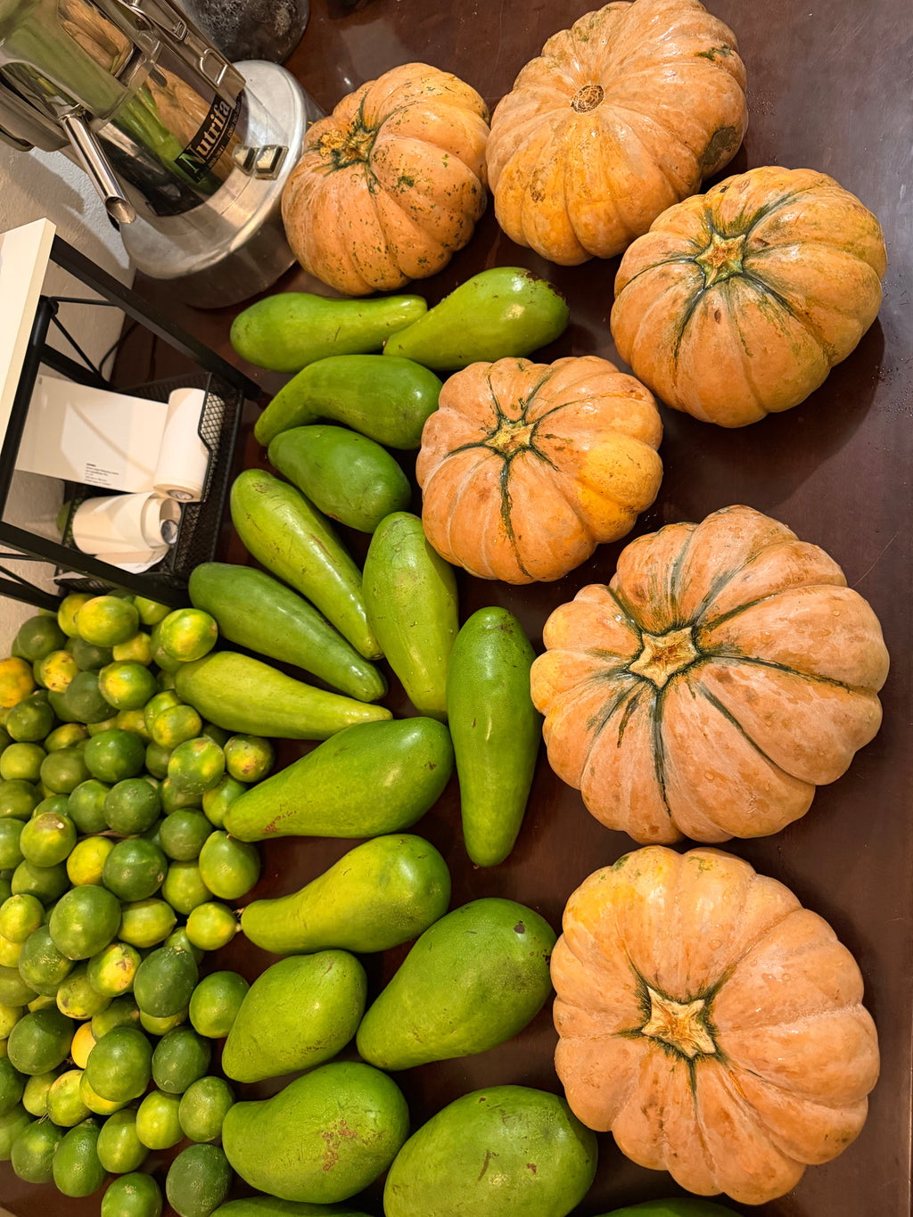 8 Lbs Organic Fairytale Pumpkin Musquée de Provence French Heirloom Squash