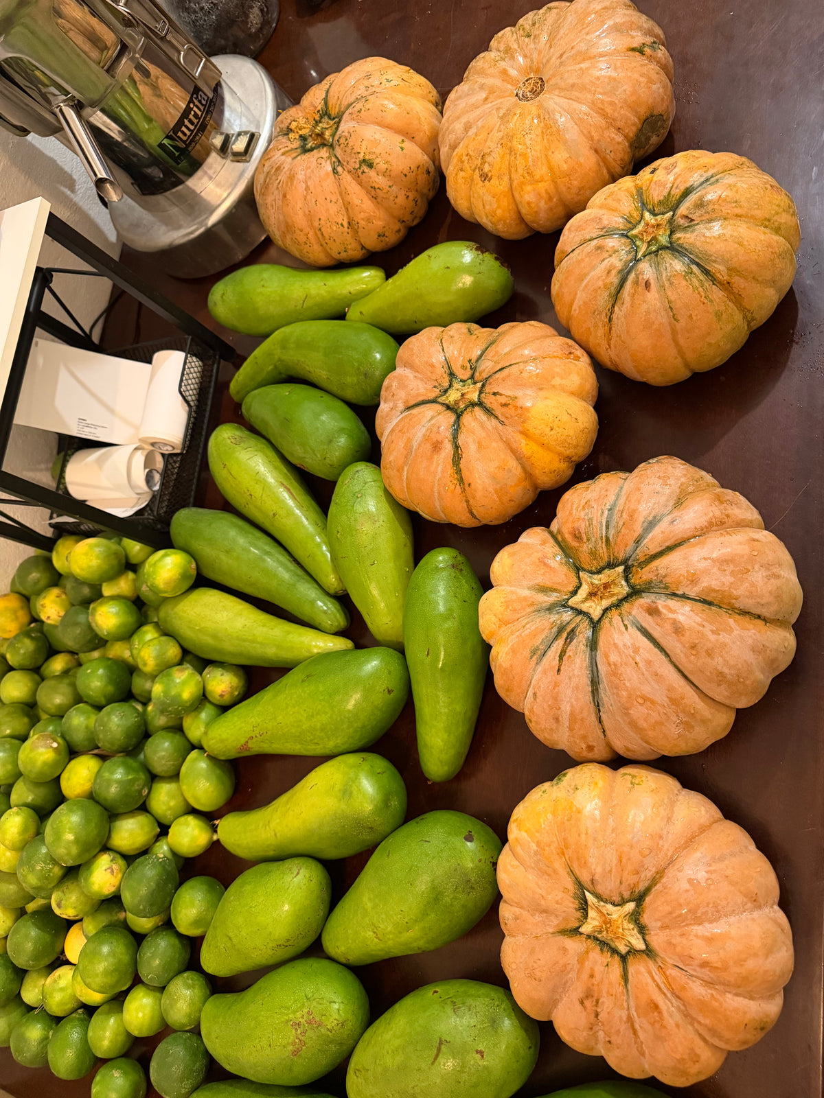 8 Lbs Organic Fairytale Pumpkin Musquée de Provence French Heirloom Squash