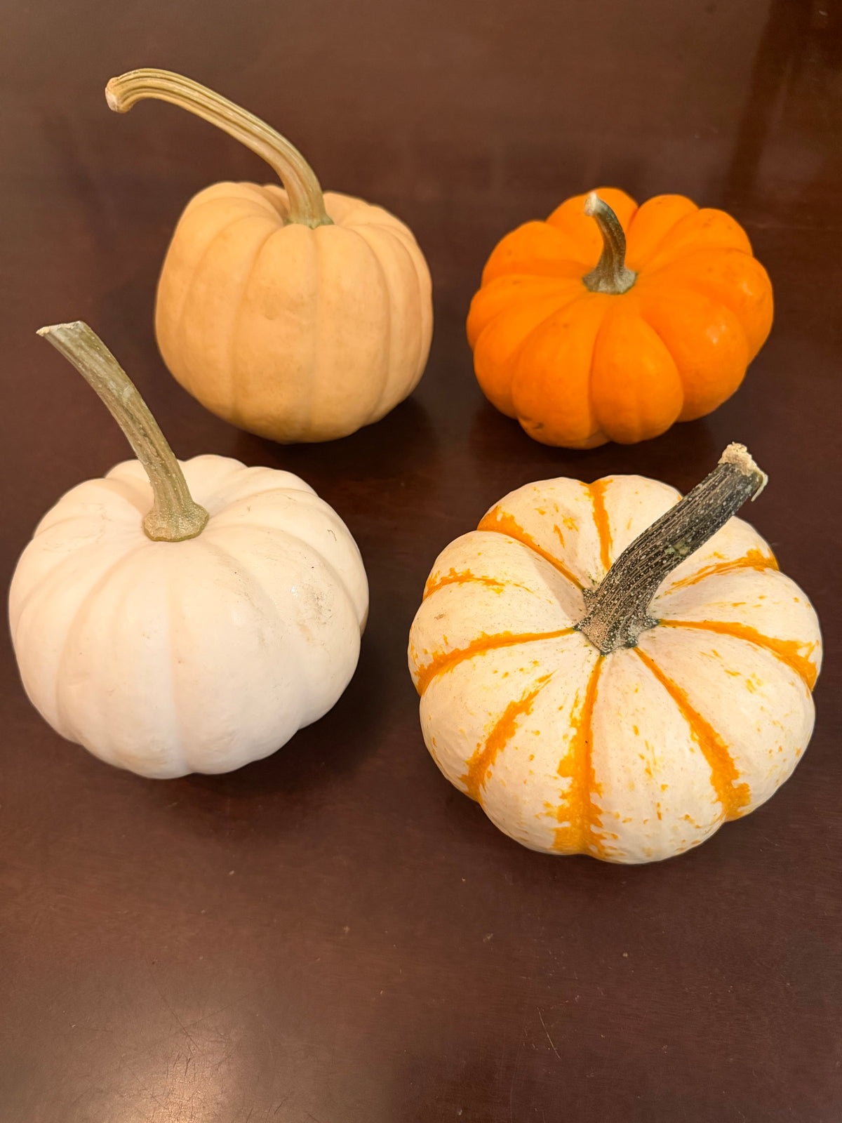 4 Organic Pumpkins Casper, Tango, Tiger Stripe & Dune Fall Harvest Collection