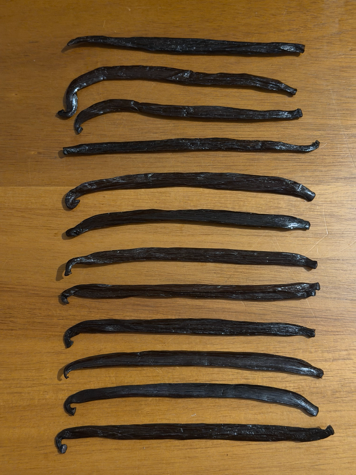 12 Fresh Vanilla Beans Premium Large Whole Vanilla Planifolia Pods in Pristine Condition
