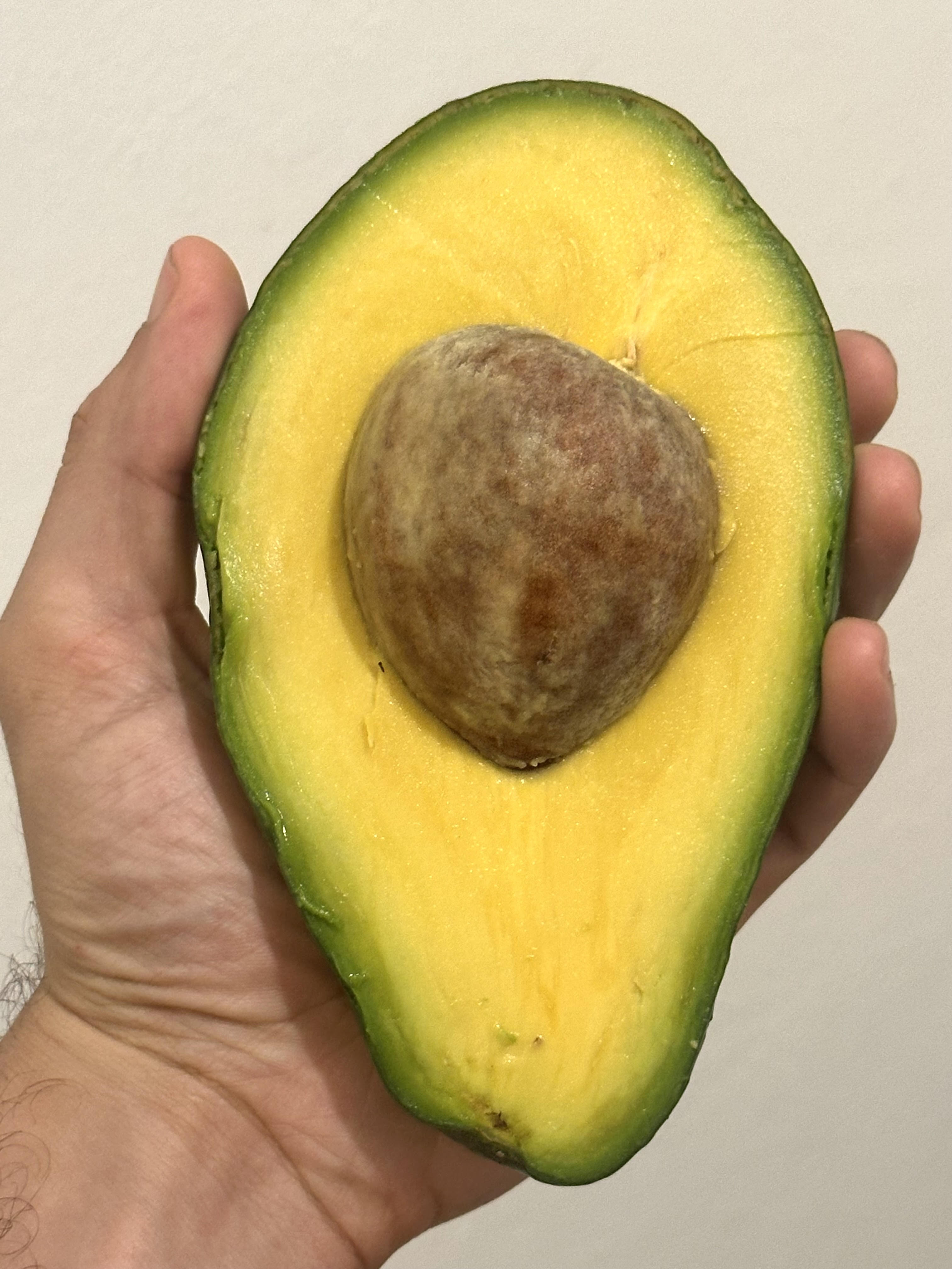 6 Lbs Organic Avocado Fruit Fresh Large Avocados